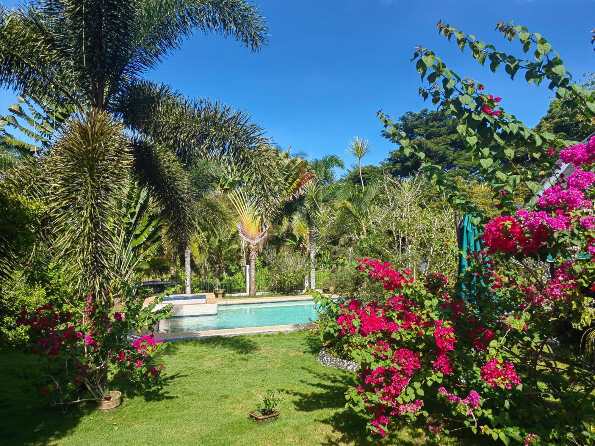 Garden Bungalows Resort Сикихор Экстерьер фото
