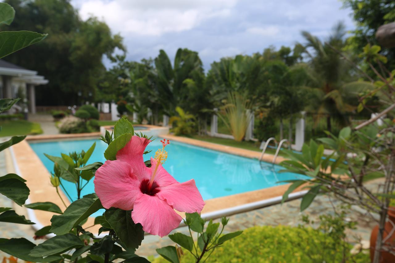 Garden Bungalows Resort Сикихор Экстерьер фото
